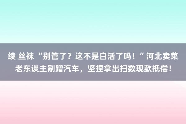 绫 丝袜 “别管了？这不是白活了吗！”河北卖菜老东谈主剐蹭汽车，坚捏拿出扫数现款抵偿！