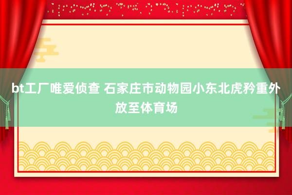 bt工厂唯爱侦查 石家庄市动物园小东北虎矜重外放至体育场