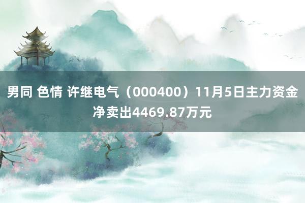 男同 色情 许继电气（000400）11月5日主力资金净卖出4469.87万元