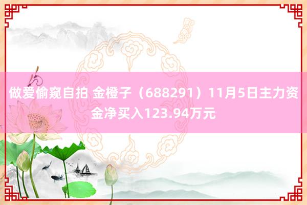 做爱偷窥自拍 金橙子（688291）11月5日主力资金净买入123.94万元