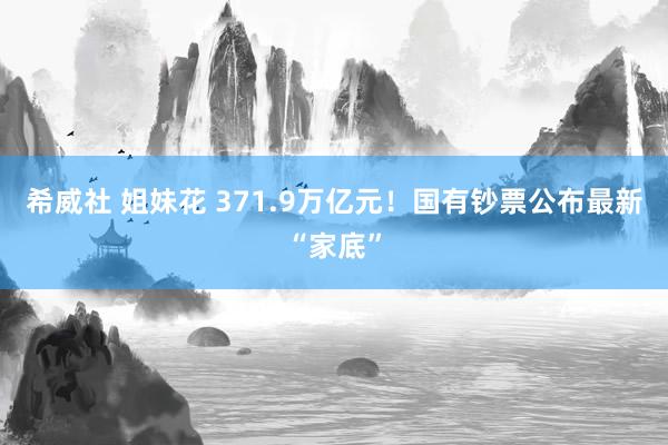 希威社 姐妹花 371.9万亿元！国有钞票公布最新“家底”