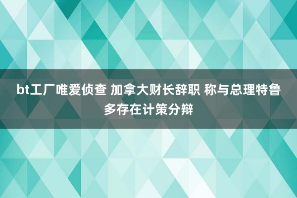 bt工厂唯爱侦查 加拿大财长辞职 称与总理特鲁多存在计策分辩