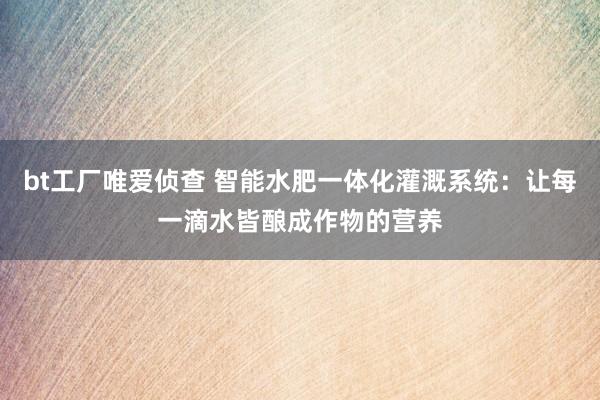 bt工厂唯爱侦查 智能水肥一体化灌溉系统：让每一滴水皆酿成作物的营养
