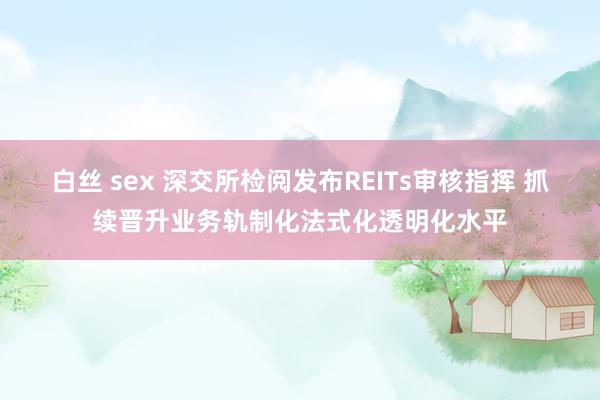 白丝 sex 深交所检阅发布REITs审核指挥 抓续晋升业务轨制化法式化透明化水平