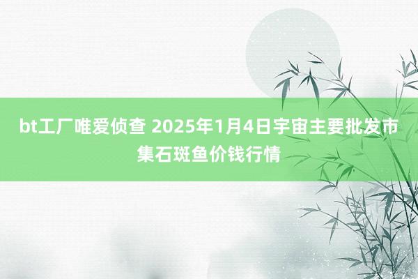 bt工厂唯爱侦查 2025年1月4日宇宙主要批发市集石斑鱼价钱行情