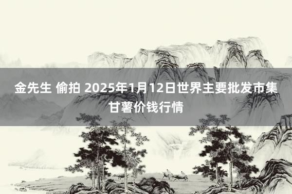 金先生 偷拍 2025年1月12日世界主要批发市集甘薯价钱行情