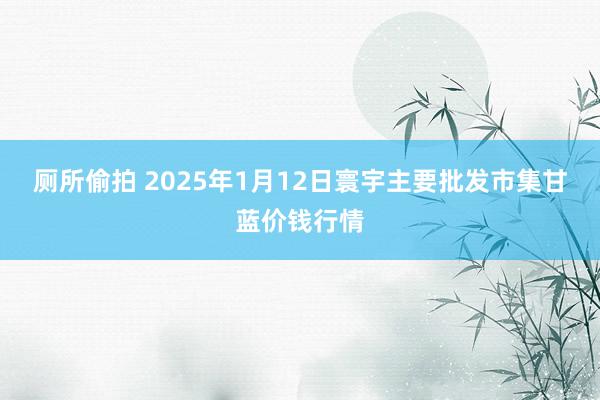 厕所偷拍 2025年1月12日寰宇主要批发市集甘蓝价钱行情